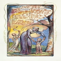 Блейк: Песни на опит. N'the Fly. Офорт на цветово облекчение от Уилям Блейк от неговите „Песни на опит“, 1794. Печат на плакати от